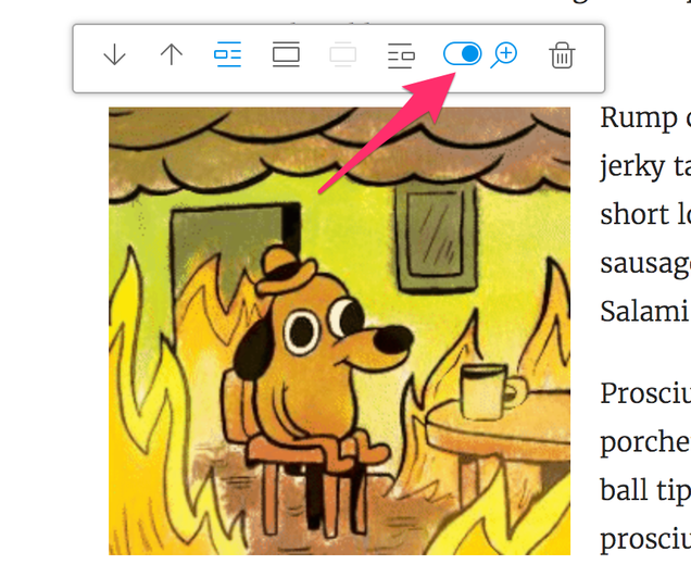 Example of “lightbox” enabled. Disabling the magnifier lightbox option will hide the magnifying glass on hover and allow the image to appear inline like the one you are currently looking at.